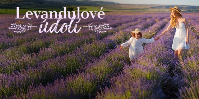 Levandulové údolí