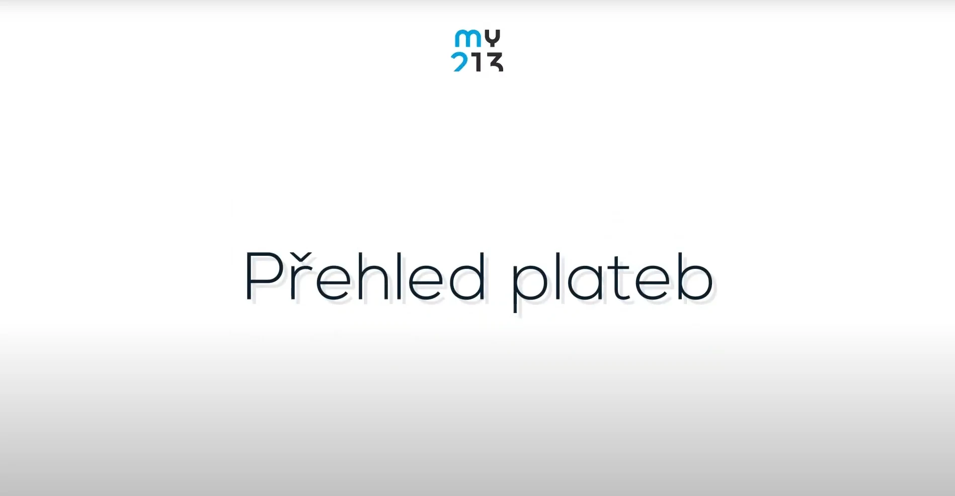 my213 - přehled plateb