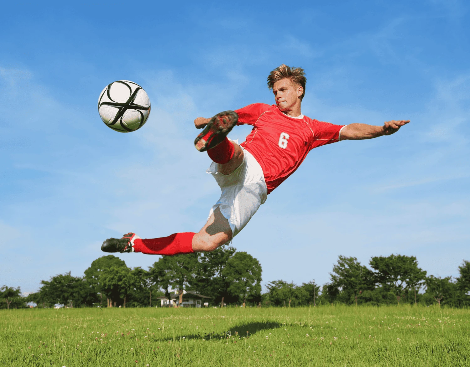 Registrovaní sportovci